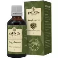 Tinctura anghinare 50ml - FAUNUS PLANT