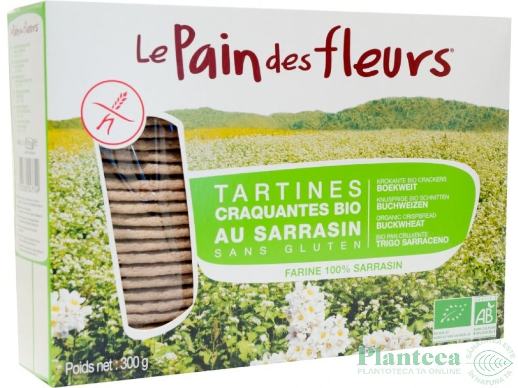 Tartine crocante hrisca cu sare eco 300g - LE PAIN DES FLEURS