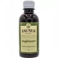 Tinctura anghinare 200ml - FAUNUS PLANT