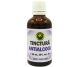 Tinctura AntiAlcool 50ml - HYPERICUM PLANT