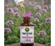 Tinctura cimbrisor 50ml - HYPERICUM PLANT