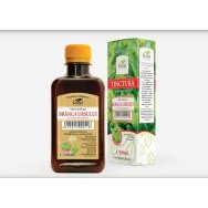 Tinctura branca ursului 200ml - DOREL PLANT