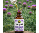Tinctura anghinare 50ml - HYPERICUM PLANT