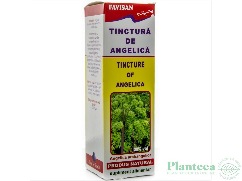 Tinctura angelica 50ml - FAVISAN