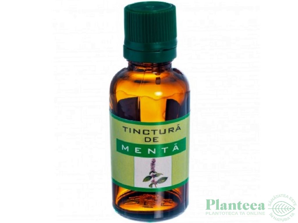 Tinctura menta 30ml - ELIDOR