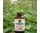 Tinctura patlagina 50ml - HYPERICUM PLANT