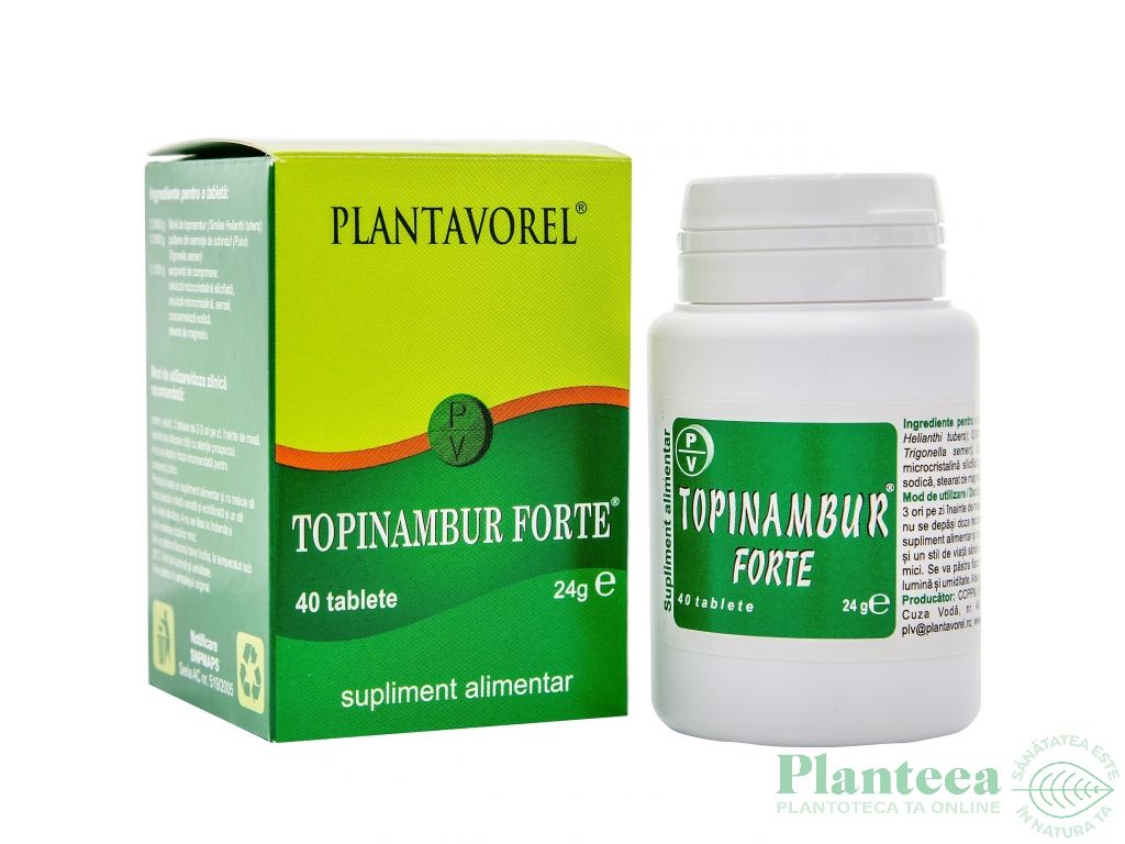 Topinambur forte 40cp - PLANTAVOREL