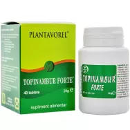 Topinambur forte 40cp - PLANTAVOREL