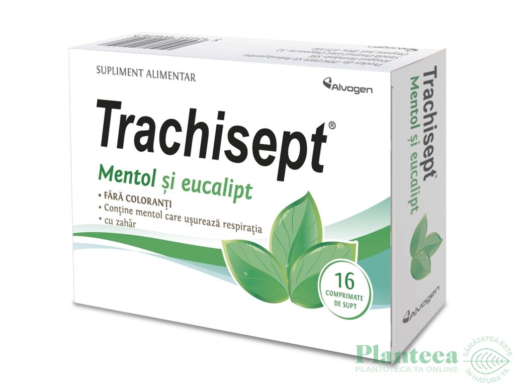 Trachisept mentol eucalipt 16cp - ALVOGEN