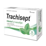 Trachisept mentol eucalipt 16cp - ALVOGEN