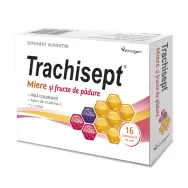 Trachisept miere fructe padure 16cp - ALVOGEN