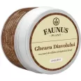 Unguent gheara diavolului 50ml - FAUNUS PLANT