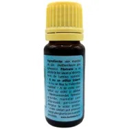 Ulei esential pin 10ml - HERBAL SANA