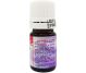 Ulei esential Antistres 5ml - FAVISAN