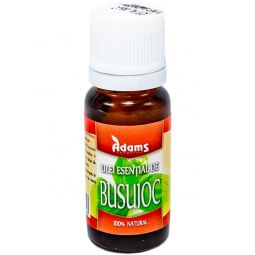 Ulei esential busuioc 10ml - ZANNA