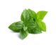 Ulei esential menta piperata 100% pur 10ml - FARES