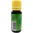 Ulei esential brad 10ml - HERBAL SANA