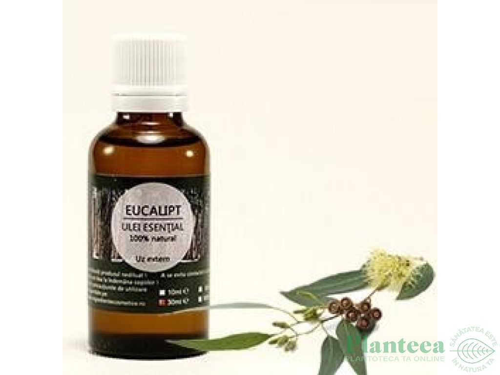 Ulei esential eucalipt 30ml - SANFLORA