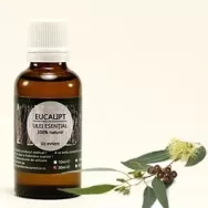 Ulei esential eucalipt 50ml - SANFLORA