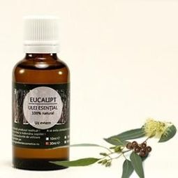 Ulei esential eucalipt 30ml - SANFLORA