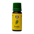 Ulei esential eucalipt 10ml - SOLARIS