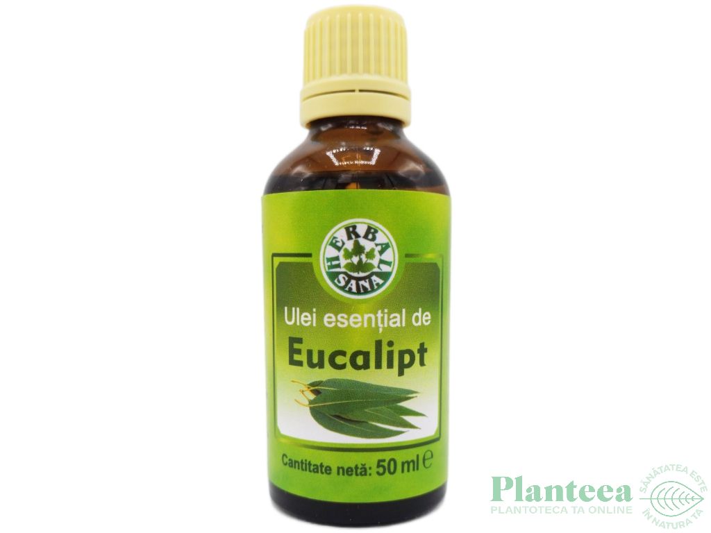 Ulei esential eucalipt 50ml - HERBAL SANA