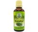 Ulei esential eucalipt 50ml - HERBAL SANA