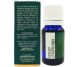 Ulei esential integral brad siberian 10ml - LIFE