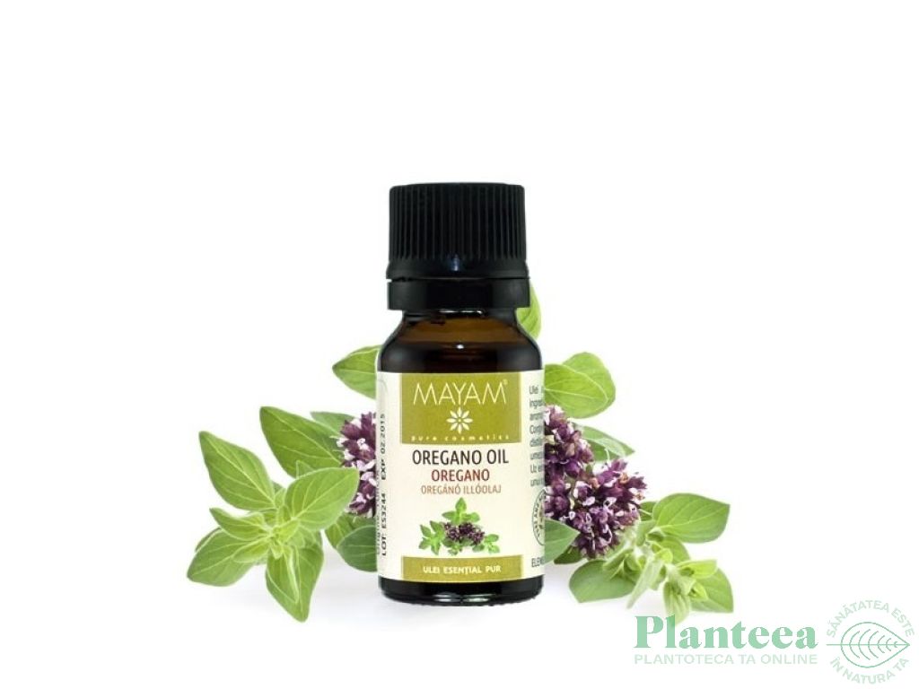 Ulei esential oregano 10ml - MAYAM