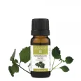 Ulei esential patchouli 10ml - ELLEMENTAL