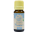 Ulei esential rozmarin 10ml - HERBAL SANA