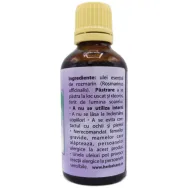 Ulei esential rozmarin 50ml - HERBAL SANA