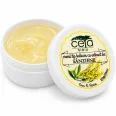 Unguent sanziene 20g - CETA