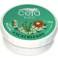 Unguent cicatrizant 20g - CETA SIBIU