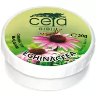 Unguent echinaceea 20g - CETA SIBIU