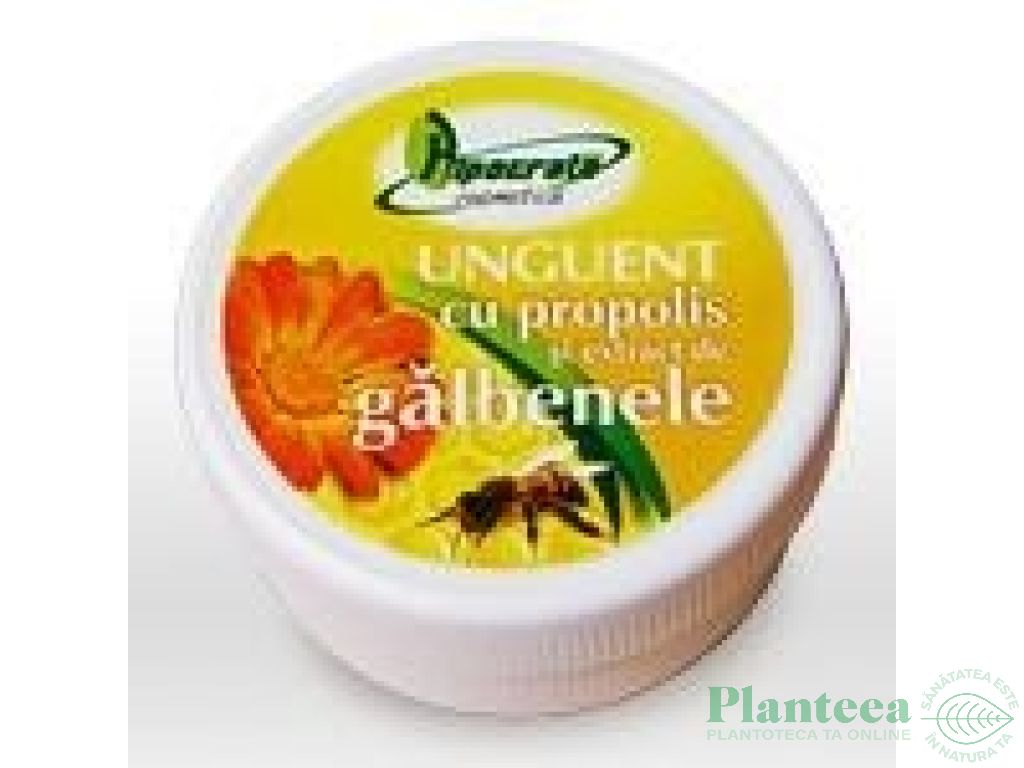 Unguent propolis galbenele 20g - HIPOCRATE