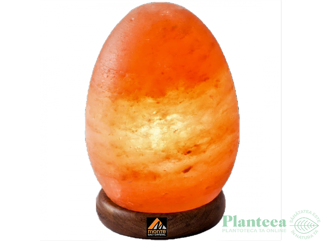 Veioza sare himalaya Ou suport lemn 4kg - MONTE SALT CRYSTAL