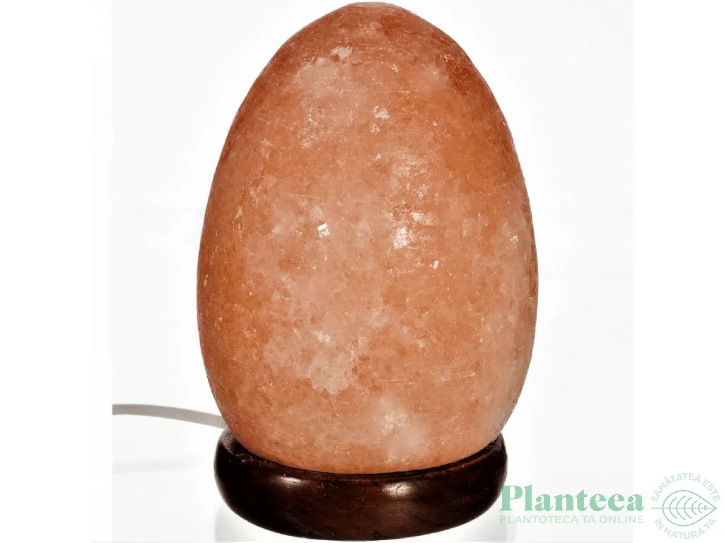 Veioza sare himalaya Ou suport lemn 4kg - MONTE SALT CRYSTAL