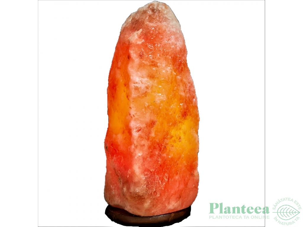 Veioza sare himalaya natur suport lemn 40_50kg - MONTE SALT CRYSTAL