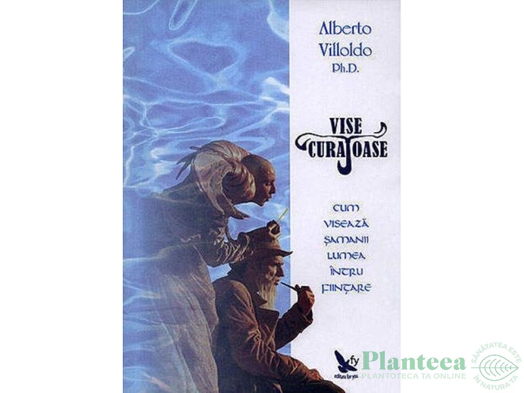 Carte Vise curajoase 240pg - EDITURA FOR YOU