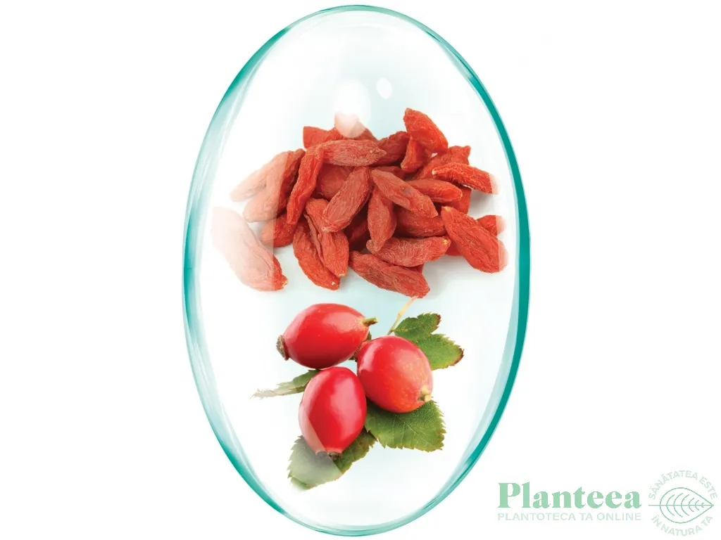 Goji vitamina C naturala 30cps - ROTTA NATURA