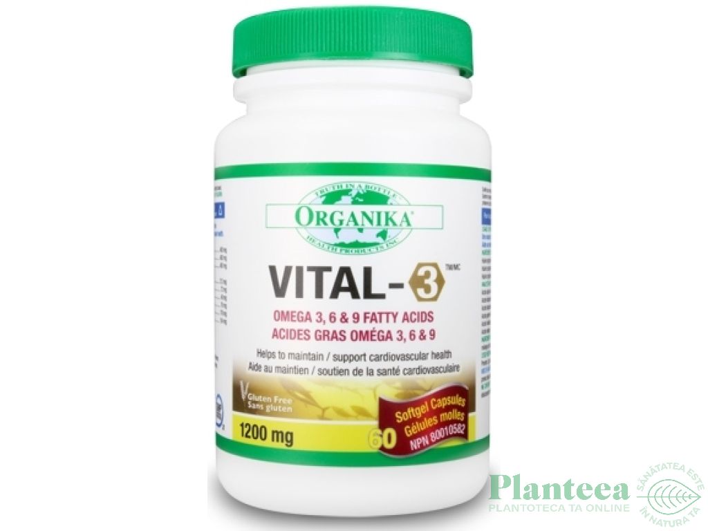 Vital 3 60cps - ORGANIKA HEALTH