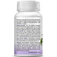 Vitex Agnus Castus 30cps - ZENYTH