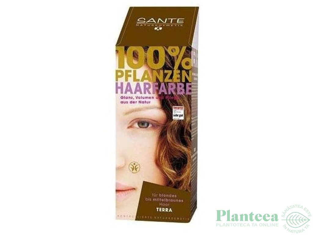 Vopsea par terra 100g - SANTE