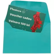 Voucher Cadou 100 RON 1b - PLANTEEA