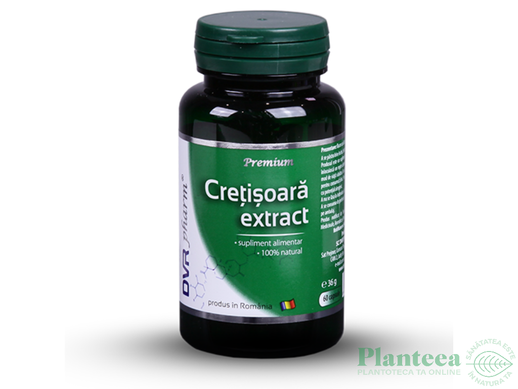 Cretisoara extract 60cps - DVR PHARM