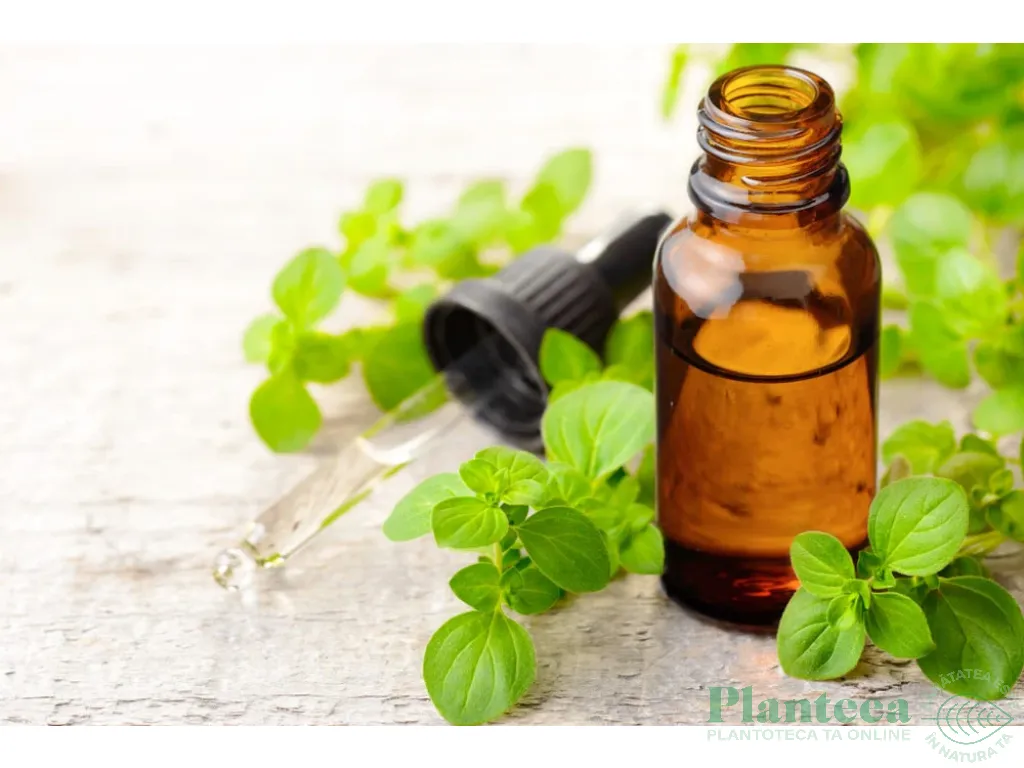Ulei oregano salbatic mediteranean Forte 80% Carvacrol 30ml - PROVITA NUTRITION