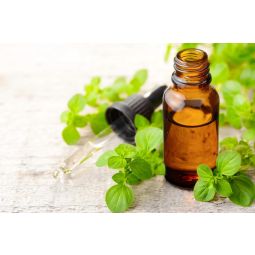 Ulei oregano salbatic mediteranean Forte 80% Carvacrol 30ml - PROVITA NUTRITION
