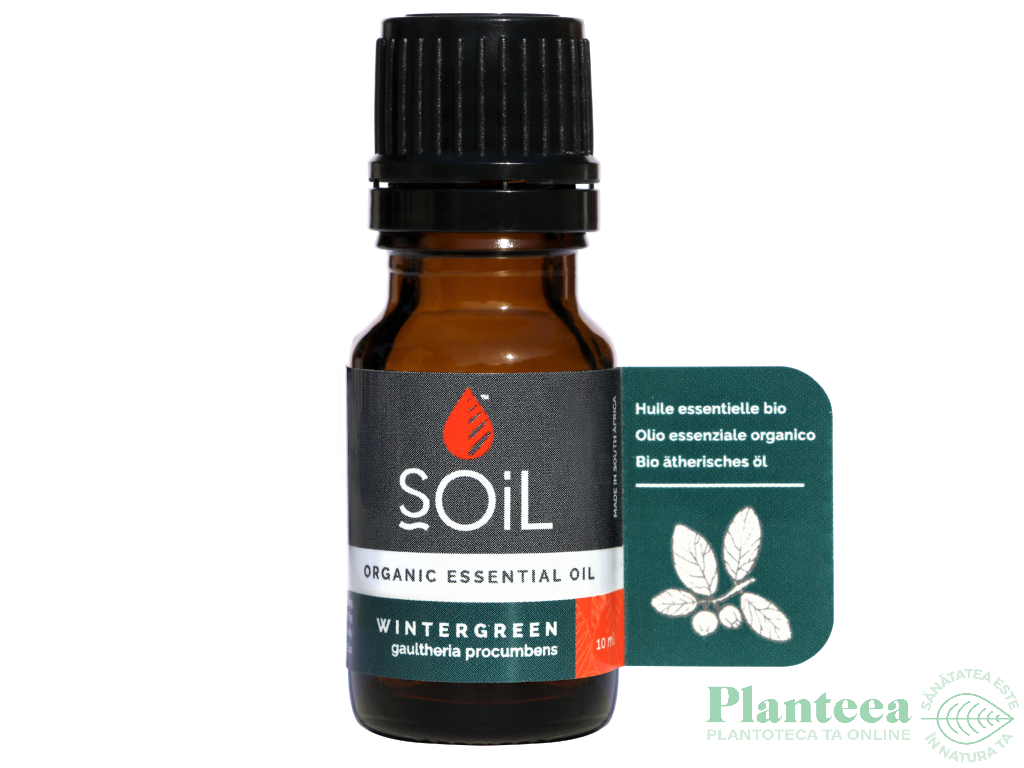 Ulei esential wintergreen organic 10ml - SOiL