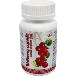 Wolfberry capsule 100cps - HONGLIAN BIOTECH